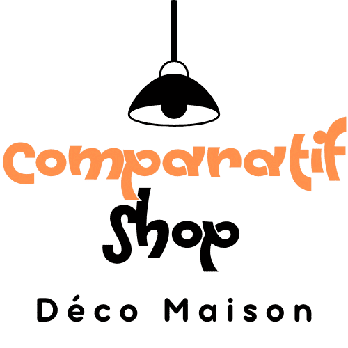 comment faire des frites au air fryer